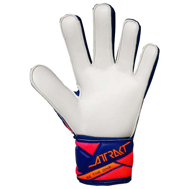 ジュニア アトラクト ソリッド ジュニア シャープブルー×ホワイト