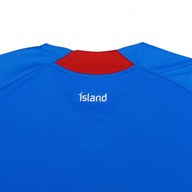 アダルト 22 23 アイスランド代表 ホーム プーマ ユニフォーム Llk Com Br
