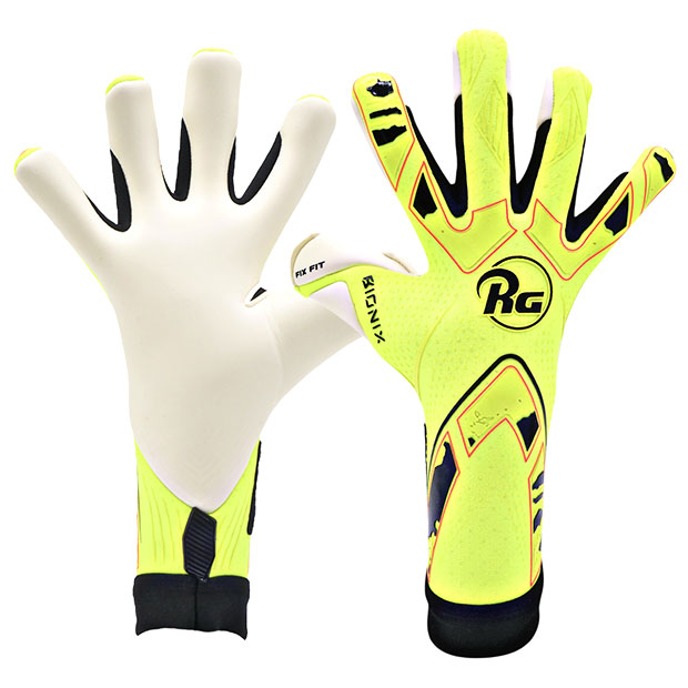 Bionix 2025 バイオニクス 2025